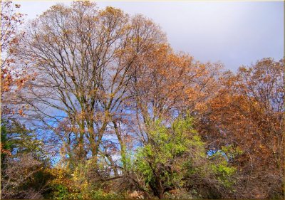 g1/79/738779/3/130938093.byxtOfEn.jpg