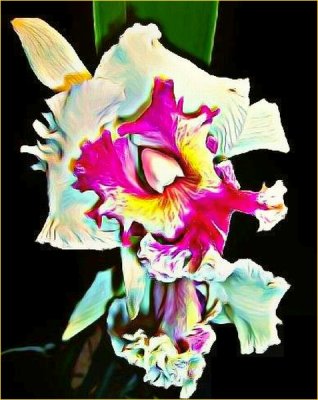 Ray Mishima