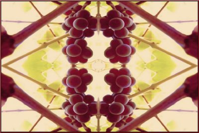 Grapesymetrics