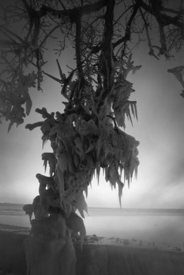 Monstrously Cold bw