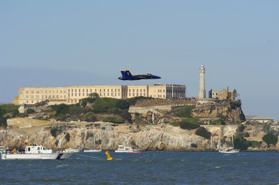 Bird over Alcatraz