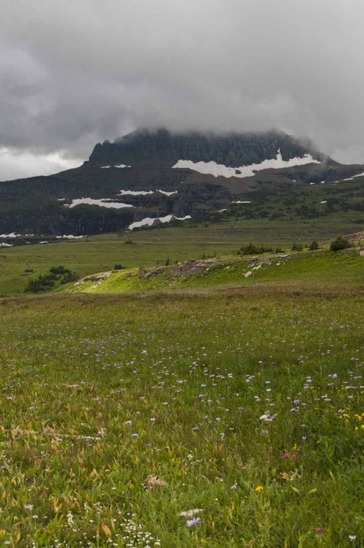 Glacier_Aug12-1.jpg