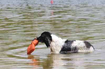 2008 Non-Newf Water Test