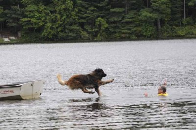 2008 Non-Newf Water Test