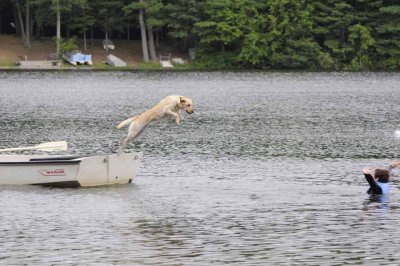 2008 Non-Newf Water Test