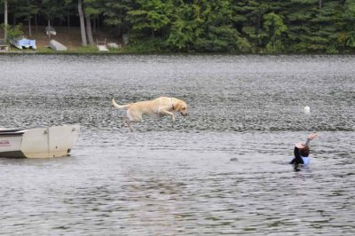 2008 Non-Newf Water Test