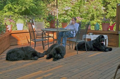Hudson, Nelson, Chuck, Hugo