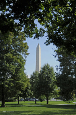 _DSC8697.jpg