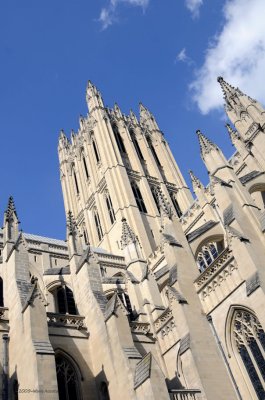 National Cathedral - Awesome