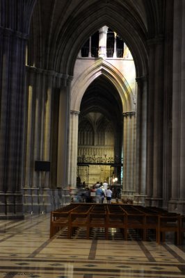 _DSC8715.jpg