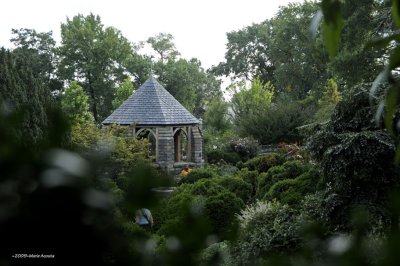 Peak into the bishop's garden