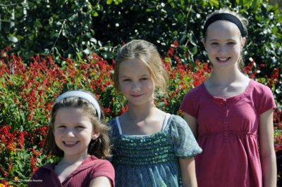 Visiting the Botanical Gardens