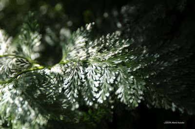 _DSC8806.jpg