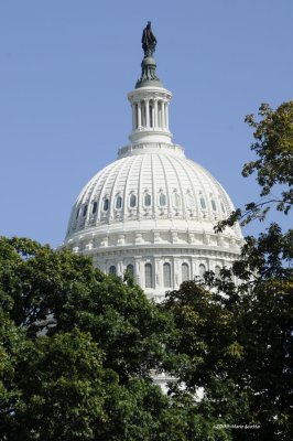 The Capitol Dome