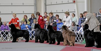Breed-158.jpg