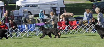 g1/79/763779/3/125662190.FD9gIFNF.jpg