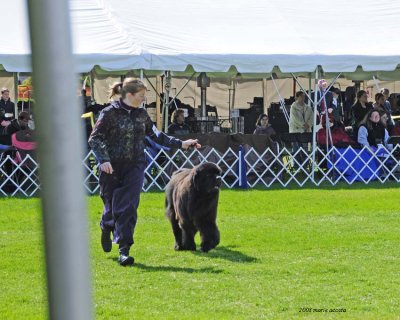 Jenny and Nelson in the ring