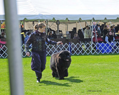 Jenny and Nelson in the ring