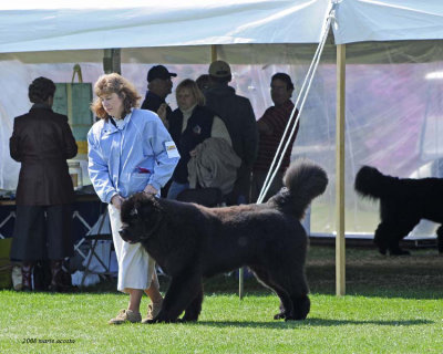 Deb & Hudson in the ring