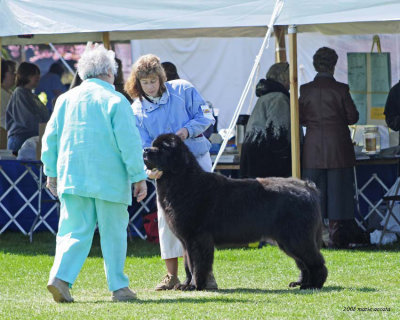 Deb and Hudson in the ring