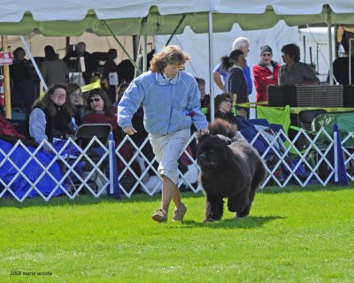 Deb and Hudson in the ring