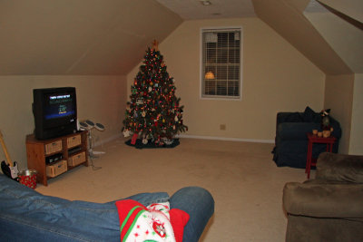 Upstairs family room - notice the (7.5 foot) loopie tree in the corner.  This room is huge - doesn't really look like it here.