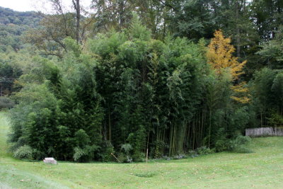 p34.jpg