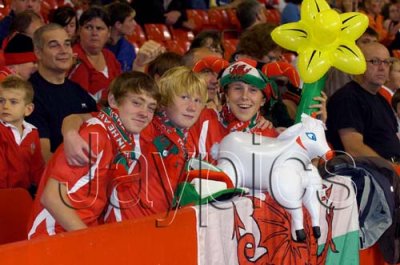 Wales v Azerbaijan Fifa  World Cup 2010 Qualifying Match