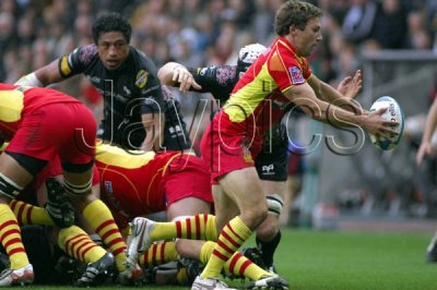 Ospreys v Perpignan17.jpg