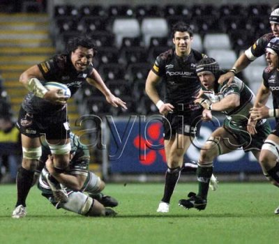 Ospreys v Leicester13.jpg