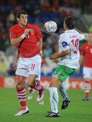 Wales v Bulgaria5.jpg