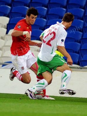 Wales v Bulgaria12.jpg