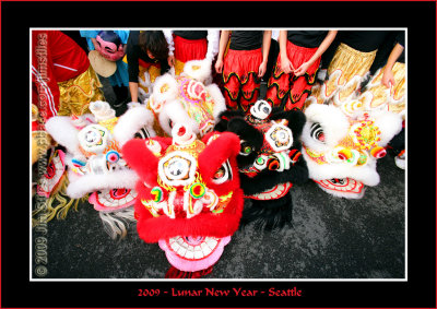 2009 Chinese New Year