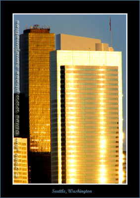 YN6Y0177-copy-b.jpg