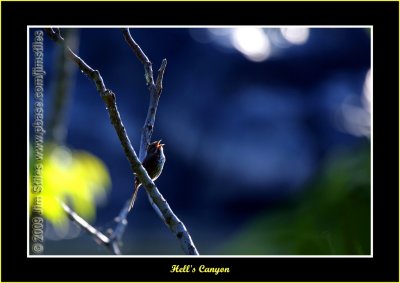 g1/79/794879/3/110519036.H0v10Oox.jpg