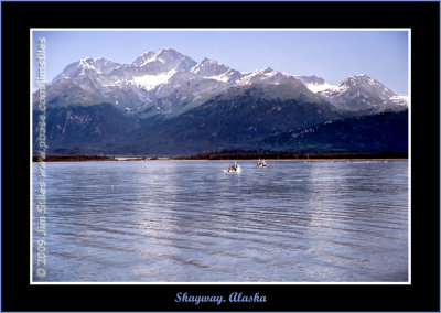Alaska_2003_0037-copy-b.jpg