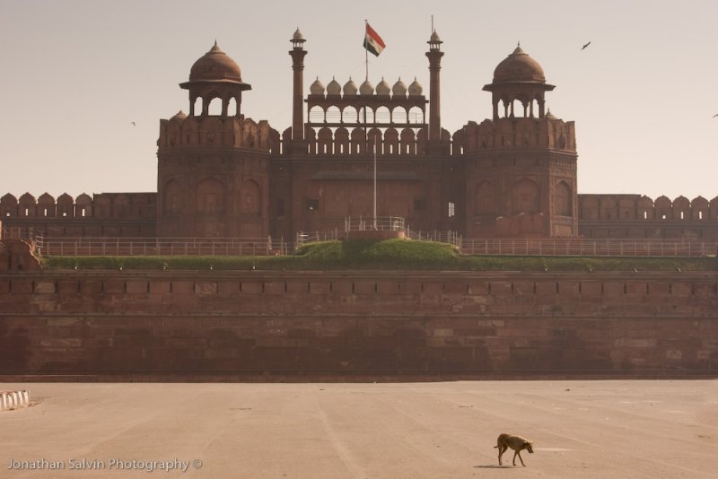 Delhi-8.jpg