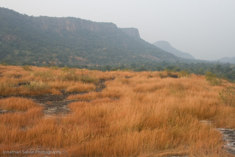 Bandhavgarh National Park-30.jpg