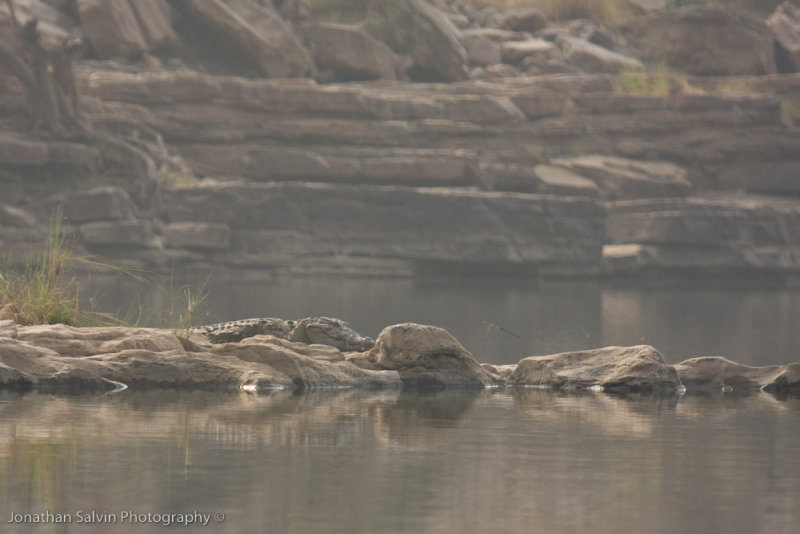 Panna National Park-35.jpg