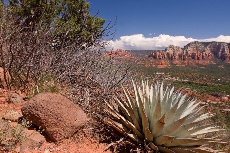 Airport Mesa Sedona Arizona-23.jpg