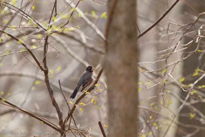 _MG_5519.jpg