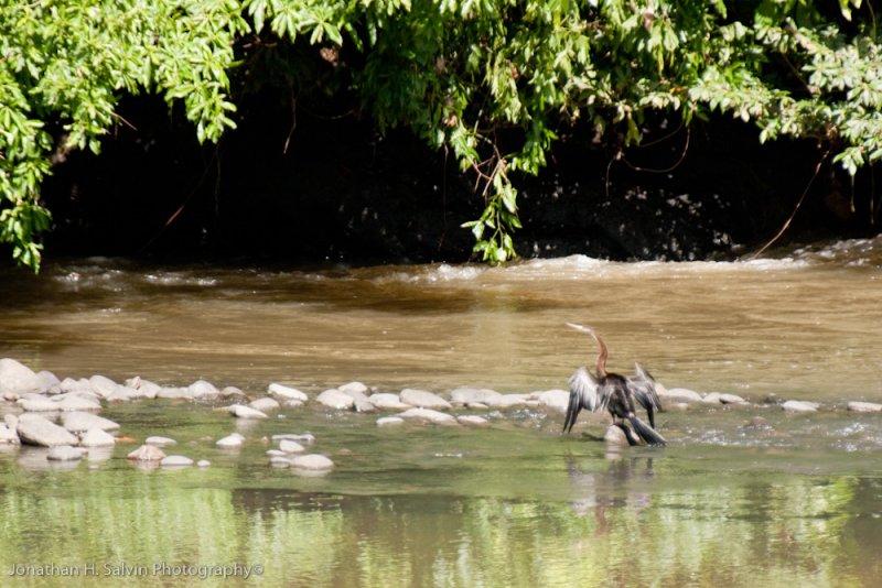Danum Valley-_MG_6659.jpg