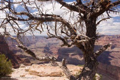 Grand Canyon-156.jpg
