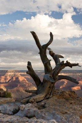 Grand Canyon-547.jpg