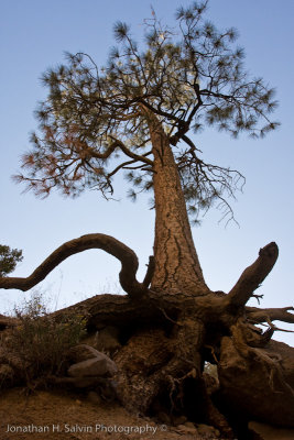 Tent Rocks New Mexico-41.jpg