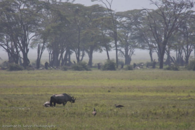 Tanzania Animals-87.jpg