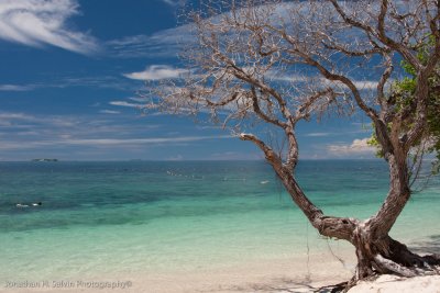 Palau Seligaan (Turtle Island)