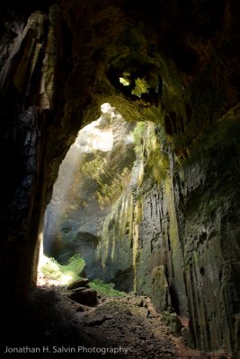 Gomantong Cave-_MG_7053.jpg