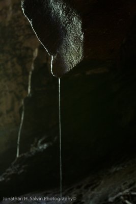 Gomantong Cave-_MG_7079.jpg