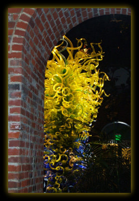 Chihuly at Phipps Conservatory
